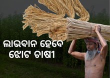 କଞ୍ଚା ଝୋଟ ଉପରୁ ଉଠିଲା ମୂଲ୍ୟ କଟକଣା  କଞ୍ଚା ଝୋଟ ଉପରୁ ଉଠିଲା ମୂଲ୍ୟ କଟକଣା