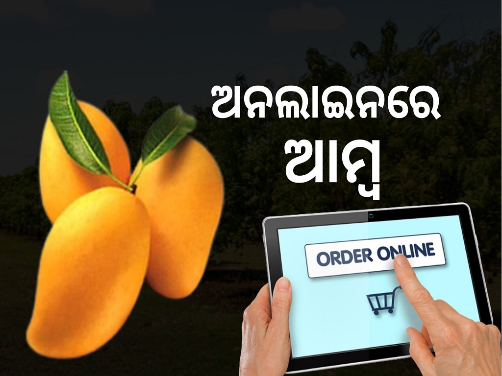 Karnataka government to selling mangoes online