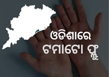 ଓଡିଶାରେ ଟେନସନ ବଢାଇଲା ଟମାଟୋ ଫ୍ଲୁ, 26 ରୋଗୀ ଚିହ୍ନଟ