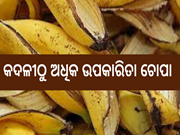 କଦଳୀ ଠୁ ଅଧିକ ଗୁଣକାରୀ ଚୋପା, ଜାଣନ୍ତୁ କେଉଁ ସମସ୍ୟାରୁ ମିଳିବ ଉପଶମ 