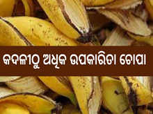 କଦଳୀ ଠୁ ଅଧିକ ଗୁଣକାରୀ ଚୋପା, ଜାଣନ୍ତୁ କେଉଁ ସମସ୍ୟାରୁ ମିଳିବ ଉପଶମ 