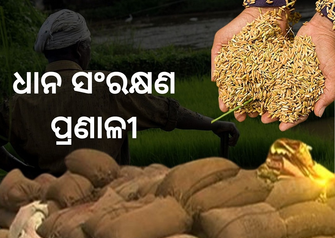 Know about the procedure of Rice storage