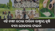 କୃଷକଙ୍କ ଲାଭରେ ରାଷ୍ଟ୍ରୀୟ କୃଷି ବୀମା ଯୋଜନା,ଉଠାନ୍ତୁ ଫାଇଦା