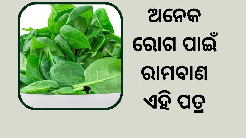Health Benefits of Guava Leaf