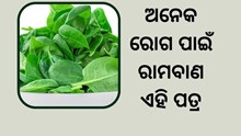 ଶରୀର ପାଇଁ ମହାଔଷଧି ଏହି ପତ୍ର 