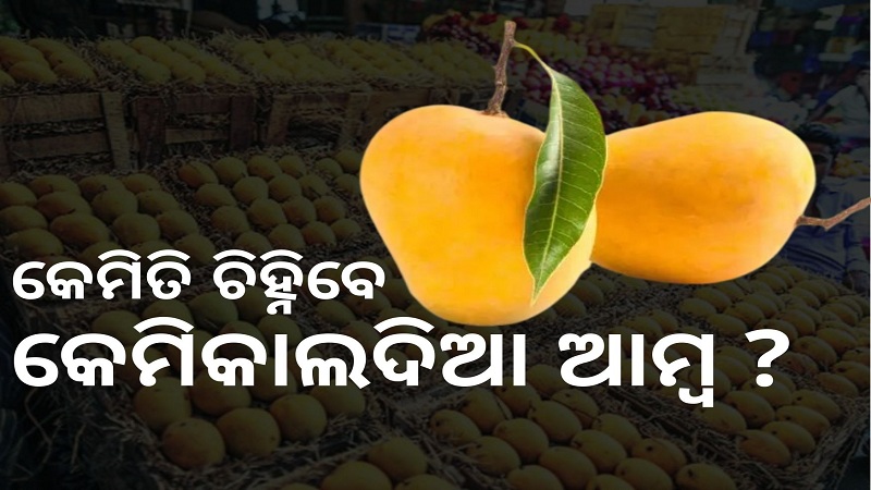 know how to identify chemically ripened mango