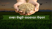 ବିକ୍ରି ହେଉନି ସରକାରୀ ବିହନ