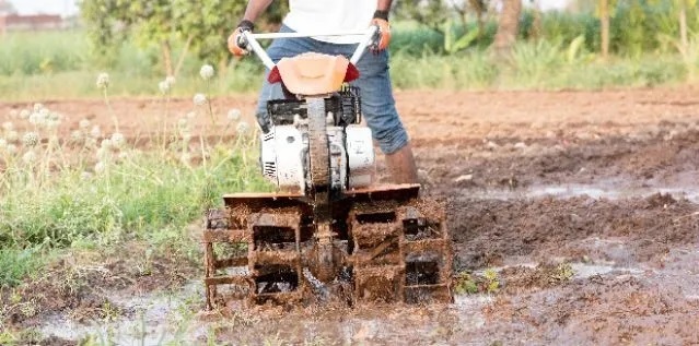 Paddy Cultivation Done Right: A Guide to Land Preparation