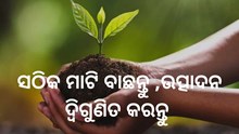 ଚାଷ ପାଇଁ ଗୁରୁତ୍ୱପୁର୍ଣ ମୃତ୍ତିକା ଚୟନ, ଜାଣନ୍ତୁ କେଉଁ ଉପାୟ କରିବେ ଅବଲମ୍ବନ  ଚାଷ ପାଇଁ ଗୁରୁତ୍ୱପୁର୍ଣ ମୃତ୍ତିକା ଚୟନ, ଜାଣନ୍ତୁ କେଉଁ ଉପାୟ କରିବେ ଅବଲମ୍ବନ