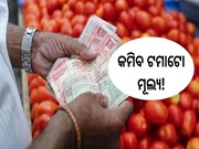 Tomato Price: ଖୁସି ଖବର,୨ ସପ୍ତାହ ମଧ୍ୟରେ କମିବ ଟମାଟୋର ମୂଲ୍ୟ!