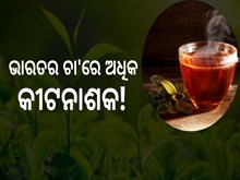 ବିଶ୍ବ ବଜାରରେ ଭାରତର ଚା'କୁ ବଡ ଝଟକା
