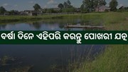 ଜାଣନ୍ତୁ ବର୍ଷା ଦିନେ କିପର କରିବେ ପୋଖରୀ ଯତ୍ନ