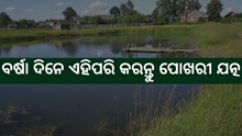 ଜାଣନ୍ତୁ ବର୍ଷା ଦିନେ କିପର କରିବେ ପୋଖରୀ ଯତ୍ନ