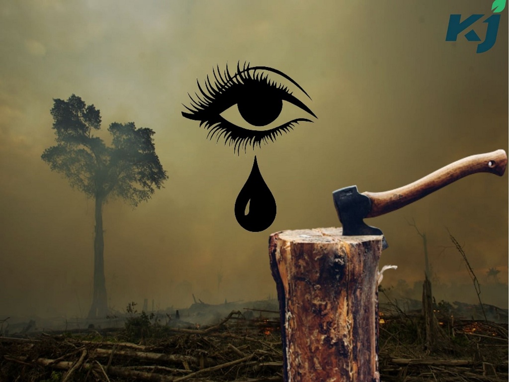 World Environment Day 2022: Mother Earth is crying