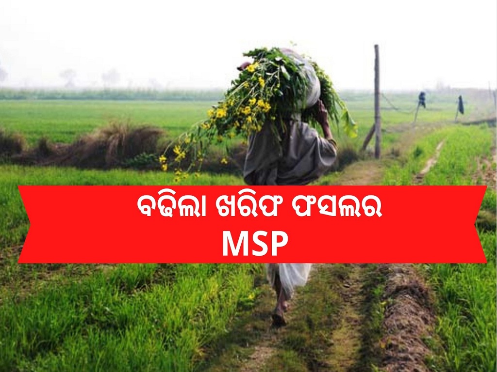 Govt likely to hike MSP by 5-20% for summer crops