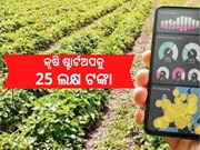 କୃଷି ଷ୍ଟାର୍ଟଅପକୁ ମିଳୁଛି 25 ଲକ୍ଷ, ଏମିତି କରନ୍ତୁ ଆବେଦନ...