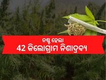 ଦେଶର ୧୪ଟି ସ୍ଥାନରେ ୪୨,୦୦୦ କିଗ୍ରା ନିଶା ଦ୍ରବ୍ୟ ନଷ୍ଟକଲା CBIC