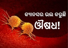 ଔଷଧ ଖାଇ ସୁସ୍ଥ ହେଲେ 18 କ୍ୟାନସର ରୋଗୀ 