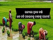 ୧୭ରେ ଓଡିଶା ଛୁଇଁବ ମୌସୁମୀ