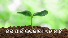 ଜାଣି ରଖନ୍ତୁ ମାଟି ପାଇଁ କେଉଁ ଜୀବ ଉପକାରୀ ଜାଣି ରଖନ୍ତୁ ମାଟି ପାଇଁ କେଉଁ ଜୀବ ଉପକାରୀ