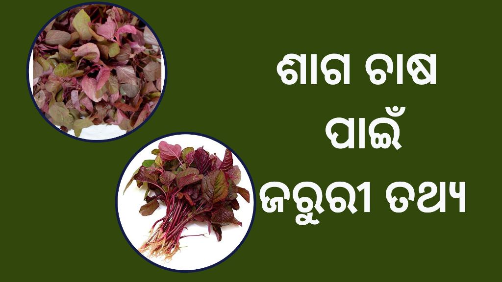 Benefits and cultivation of green leaf