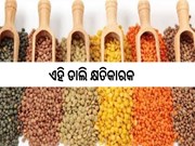 କେବେ ବି ଖାଆନ୍ତୁନାହିଁ ଏହି ଡାଲି, ହେବ କ୍ଷତି