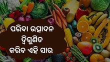ପନିପରିବାର ଉତ୍ପାଦନ ବୃଦ୍ଧି କରିବ ଏହି ସାର ପନିପରିବାର ଉତ୍ପାଦନ ବୃଦ୍ଧି କରିବ ଏହି ସାର