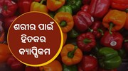 ଏହି ସବୁ ସମସ୍ୟାରୁ ମୁକ୍ତି ଦେବ କ୍ୟାପ୍ସିକମ