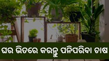 ଘର ଭିତରେ କରି ପାରିବେ ଏହି ପରିବା ଚାଷ  ଘର ଭିତରେ କରି ପାରିବେ ଏହି ପରିବା ଚାଷ