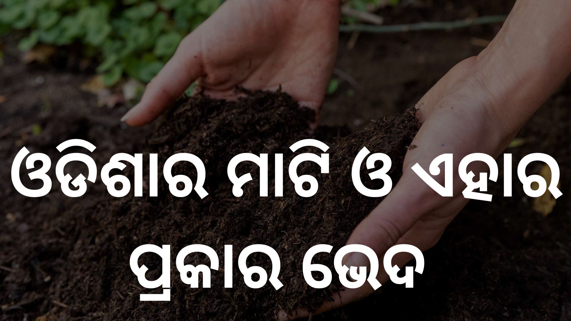 Different soil of odisha