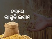 ରପ୍ତାନୀ ଉପରେ ରୋକ ସତ୍ତ୍ବେ କମୁନି ଗହମ ଦର