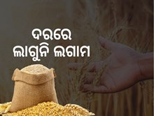 ରପ୍ତାନୀ ଉପରେ ରୋକ ସତ୍ତ୍ବେ କମୁନି ଗହମ ଦର ରପ୍ତାନୀ ଉପରେ ରୋକ ସତ୍ତ୍ବେ କମୁନି ଗହମ ଦର