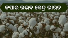 କପା ଉତ୍ପାଦନରେ ପ୍ରଥମ ଭାରତ  କପା ଉତ୍ପାଦନରେ ପ୍ରଥମ ଭାରତ
