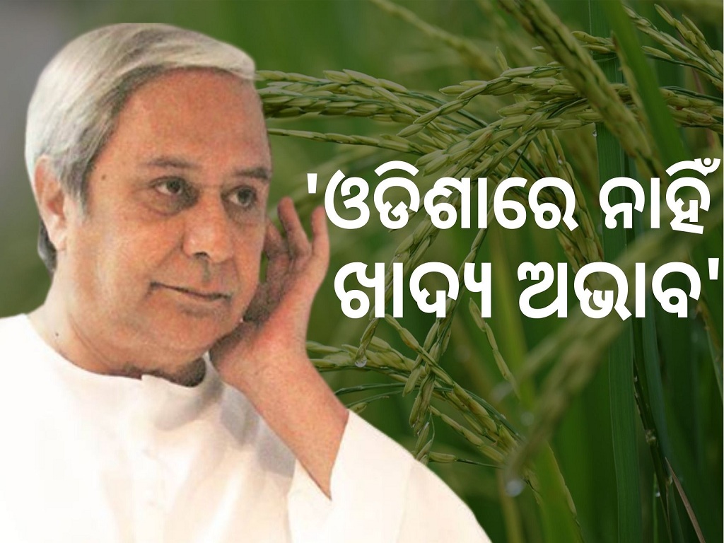 CM Naveen Patnaik Shares Odisha’s Achievements on Food Security at WFP in Rome
