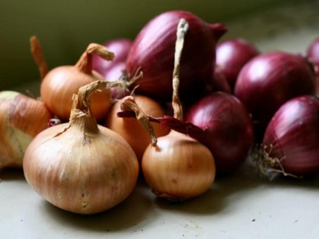 Centre procures 52,460 tonne onion till May for buffer stock