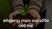ଚାଷକୁ ଦ୍ଵିଗୁଣ କରିବ ଜୈବିକ ପଦ୍ଧତି