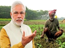 ସରକାରଙ୍କ ବଡ ନିଷ୍ପତ୍ତି, ଚାଷୀଙ୍କୁ ମିଳିବ ଏହି ଲାଭ ସରକାରଙ୍କ ବଡ ନିଷ୍ପତ୍ତି, ଚାଷୀଙ୍କୁ ମିଳିବ ଏହି ଲାଭ