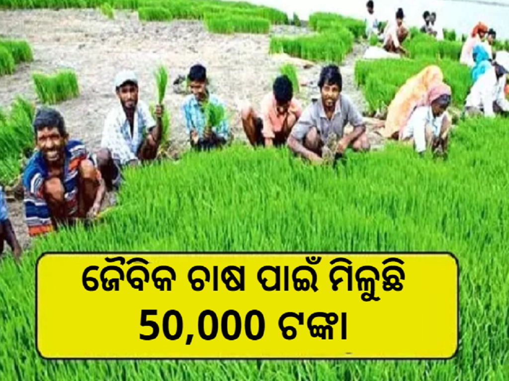 organic farmers will get a grant of rs 50 000 under paramparagat krishi vikas yojana