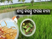 ଖରିଫ ଚାଷୀ ସାବଧାନ  ! 31 ଜୁଲାଇସୁଦ୍ଧା କରନ୍ତୁ ଫସଲ ବୀମା ଖରିଫ ଚାଷୀ ସାବଧାନ  ! 31 ଜୁଲାଇସୁଦ୍ଧା କରନ୍ତୁ ଫସଲ ବୀମା