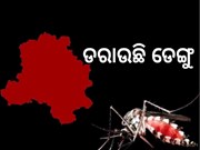 ଦିଲ୍ଲୀରେ ଡେଙ୍ଗୁ ଆତଙ୍କ, 143 ମାମଲା ଚିହ୍ନଟ