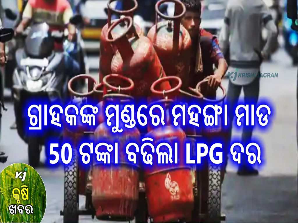 domestic lpg cylinder price hiked by rs 50