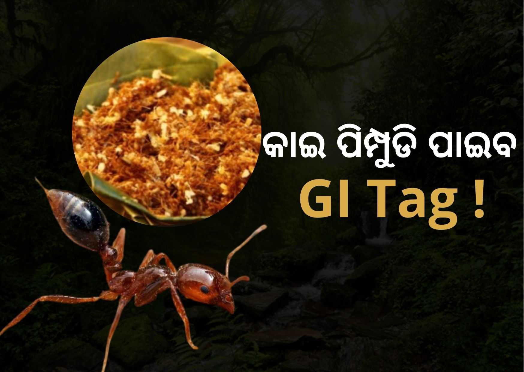 odishas red ant chutney seeks gi tag
