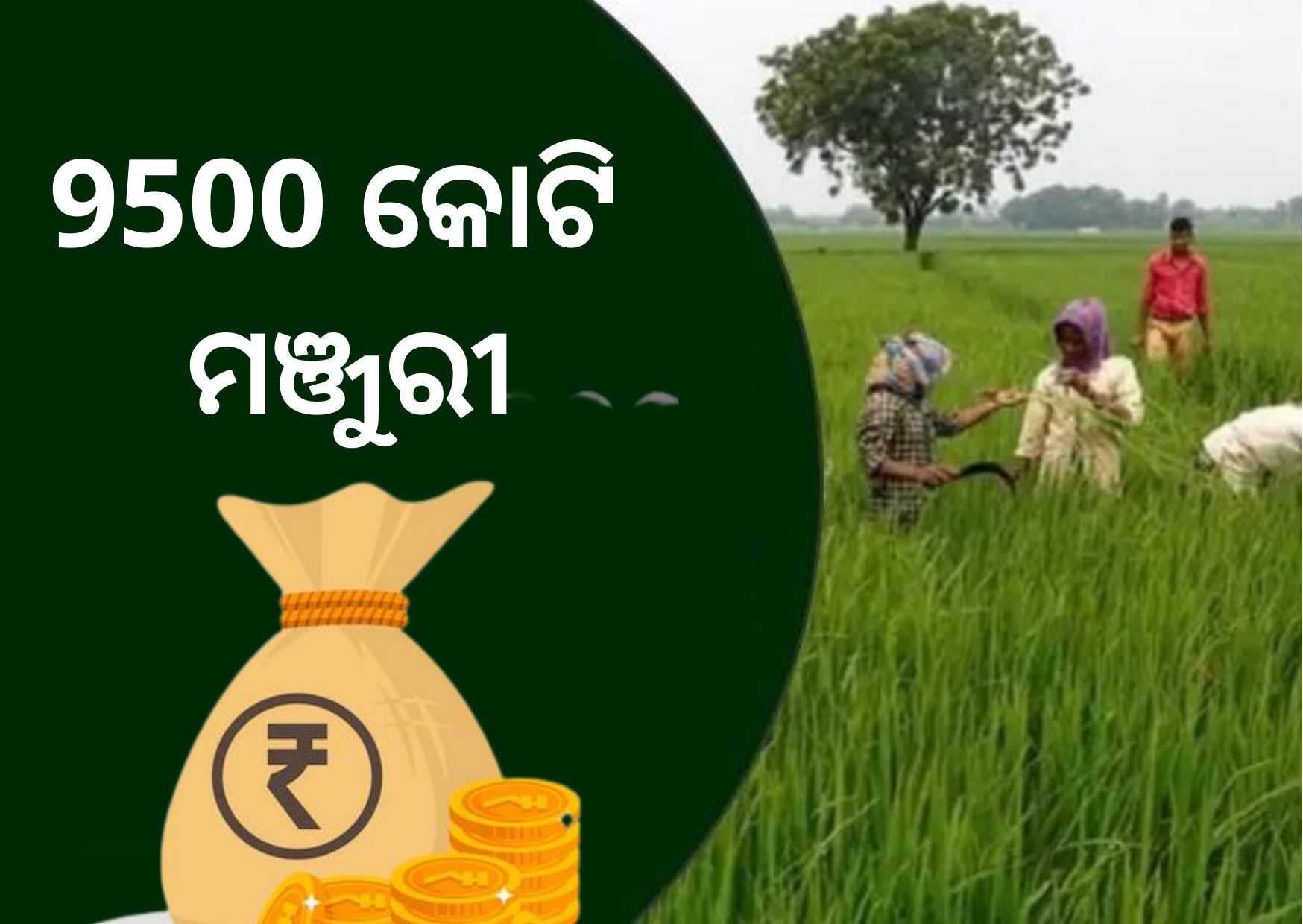 agriculture infrastructure fund 9500 crore rupees loan sanctioned for 13000projects