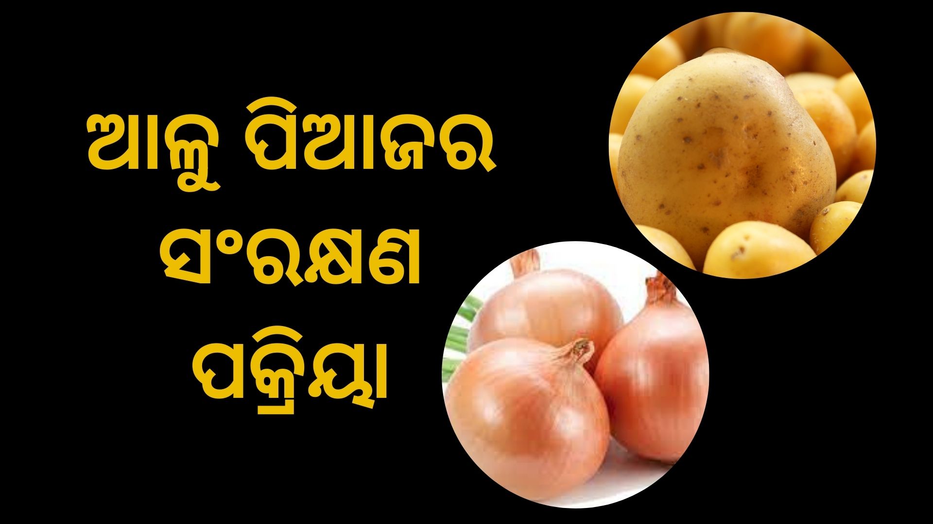 know how to store potato and  onion for long time