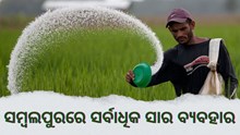 ରିପୋର୍ଟ ଦେଲେ କୃଷିମନ୍ତ୍ରୀ, ସମ୍ବଲପୁର ଚାଷୀ ବ୍ୟବହାର କରିଛନ୍ତି ସର୍ବାଧିକ ସାର 