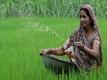 ମହିଳା ଚାଷୀ ଗଠନ କରିଛନ୍ତି FPO, ମିଳିୁଛି ପ୍ରଚୁର ଲାଭ  ମହିଳା ଚାଷୀ ଗଠନ କରିଛନ୍ତି FPO, ମିଳିୁଛି ପ୍ରଚୁର ଲାଭ