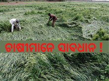 ପ୍ରବଳ ବର୍ଷା ଆଶଙ୍କା, ଆଗାମୀ 5 ଦିନ ଚାଷୀଙ୍କୁ ହାଇ ଆଲର୍ଟ ପ୍ରବଳ ବର୍ଷା ଆଶଙ୍କା, ଆଗାମୀ 5 ଦିନ ଚାଷୀଙ୍କୁ ହାଇ ଆଲର୍ଟ