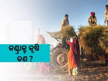କଣ୍ଟ୍ରାକ୍ଟ କୃଷି କଣ ? ଚାଷୀଙ୍କ ରୋଜଗାରର ହେବ ବଡ ବିକଳ୍ପ କଣ୍ଟ୍ରାକ୍ଟ କୃଷି କଣ ? ଚାଷୀଙ୍କ ରୋଜଗାରର ହେବ ବଡ ବିକଳ୍ପ