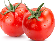 ଟମାଟୋ କିଲୋ ୭୦