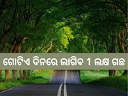  Azadi Ka Amrit Mohtsav: ଆସନ୍ତାକାଲି ଦେଶବ୍ୟାପୀ ହେବ ବୃକ୍ଷରୋପଣ